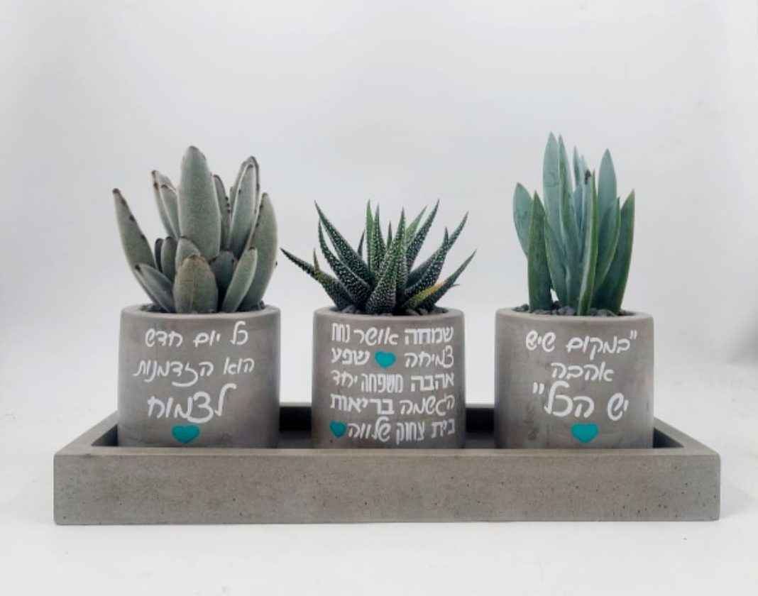 WhatsApp Image 2023-08-14 at 12.52.40